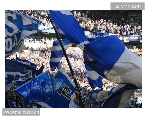 女子德甲14家俱乐部宣布独立联盟成立德国足协未参与此事